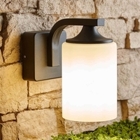 Trueshopping wall light